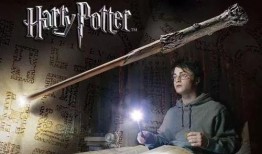哈利魔杖爆料视频,独家爆料视频深度解析