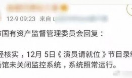 律师最新皮肤爆料,神秘面纱下的华丽蜕变